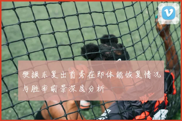 樊振东复出首秀在即体能恢复情况与胜率前景深度分析