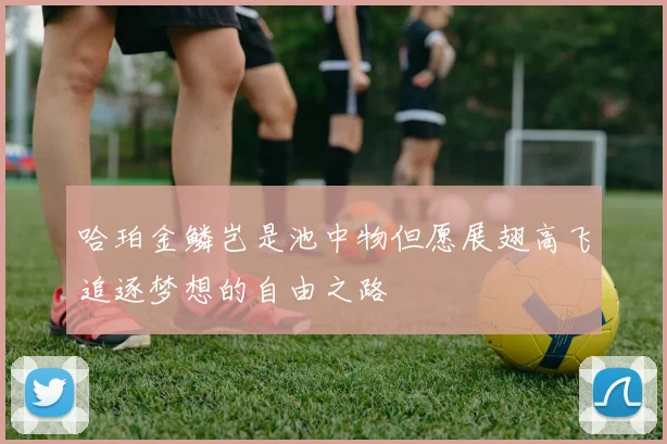 哈珀金鳞岂是池中物但愿展翅高飞追逐梦想的自由之路